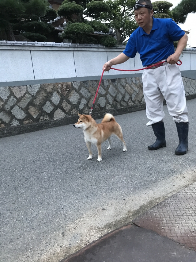 石岡ブリーダーの画像